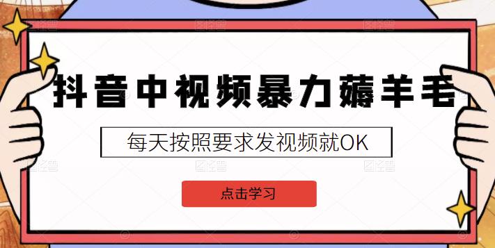 2022抖音中视频暴力薅羊毛白嫖项目：新号每天20块，老号几天几百块，可多号-上品源码网