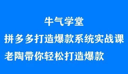 牛气学堂拼多多打造爆款系统实战课，老陶带你轻松打造爆款-上品源码网