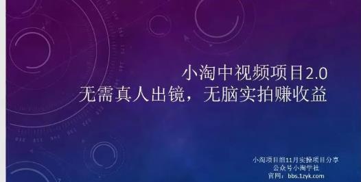 小淘项目组网赚永久会员，绝对是具有实操价值的，适合有项目做需要流程【持续更新】-上品源码网