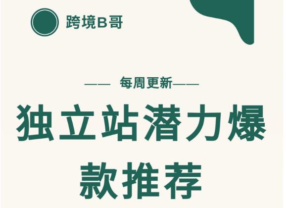 【跨境B哥】独立站潜力爆款选品推荐，测款出单率高达百分之80（每周更新）-上品源码网