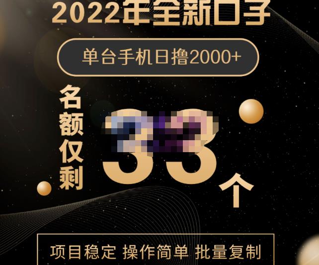 2022年全新口子，手机批量搬砖玩法，一部手机日撸2000-上品源码网