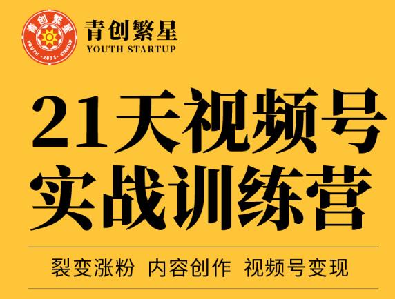 张萌21天视频号实战训练营，裂变涨粉、内容创作、视频号变现 价值298元-上品源码网