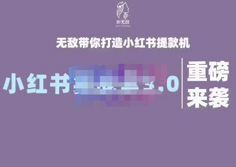 谢无敌·小红书实战营3.0，无敌带你打造小红书提款机 价值7999元-上品源码网