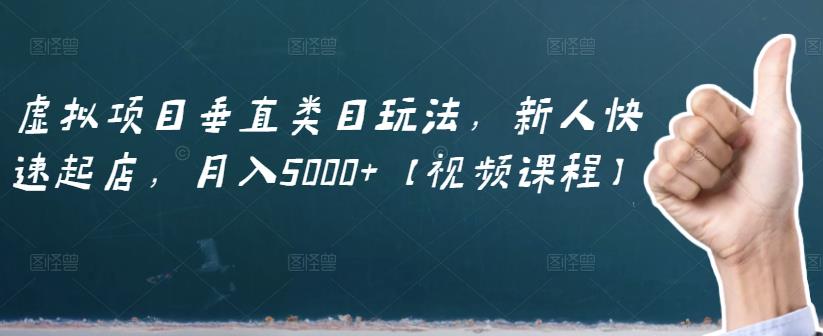 虚拟项目垂直类目玩法，新人快速起店，月入5000 【视频课程】-上品源码网