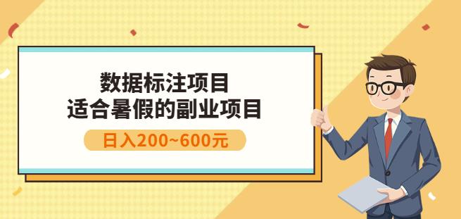 副业赚钱：人工智能数据标注项目，简单易上手，小白也能日入200-上品源码网