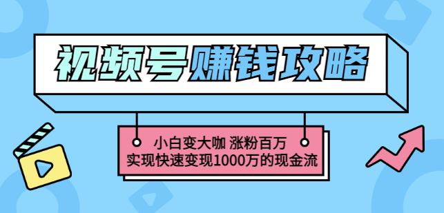 玩转微信视频号赚钱：小白变大咖涨粉百万实现快速变现1000万的现金流-上品源码网