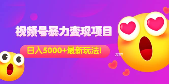 外面收费699的视频号暴力变现项目，日入5000 ，简单易操作当天见效果-上品源码网