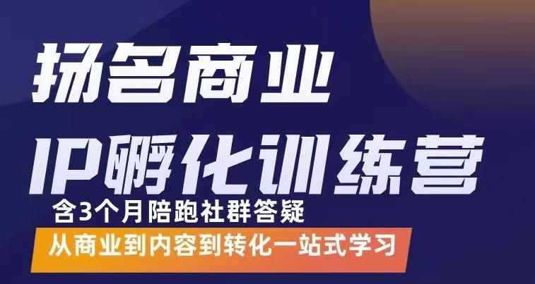 杨名商业IP孵化训练营，从商业到内容到转化一站式学 价值5980元-上品源码网