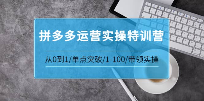 拼多多运营实操特训营：从0到1/单点突破/1-100/带领实操 价值2980元-上品源码网