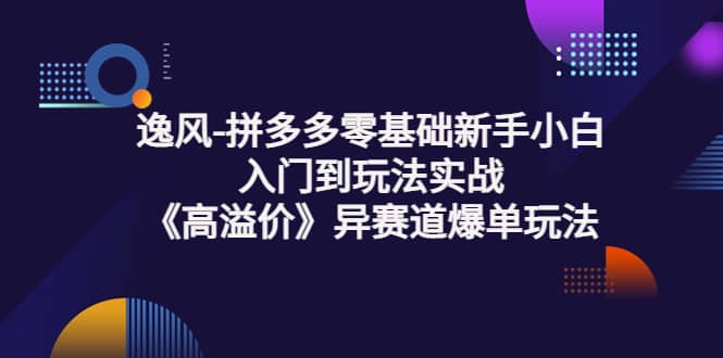 拼多多零基础新手小白入门到玩法实战《高溢价》异赛道爆单玩法实操课-上品源码网