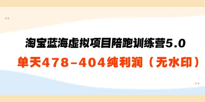 淘宝蓝海虚拟项目陪跑训练营5.0：单天478纯利润（无水印）-上品源码网