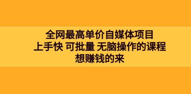 全网最单高价自媒体项目：上手快 可批量 无脑操作的课程，想赚钱的来-上品源码网