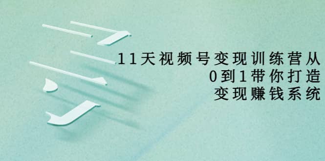 好望角·11天视频号变现训练营，从0到1打造变现赚钱系统（价值398）-上品源码网