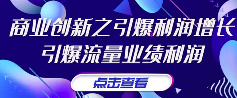 《商业创新之引爆利润增长》引爆流量业绩利润-上品源码网