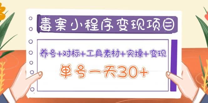 毒案小程序变现项目：养号 对标 工具素材 实操 变现-上品源码网