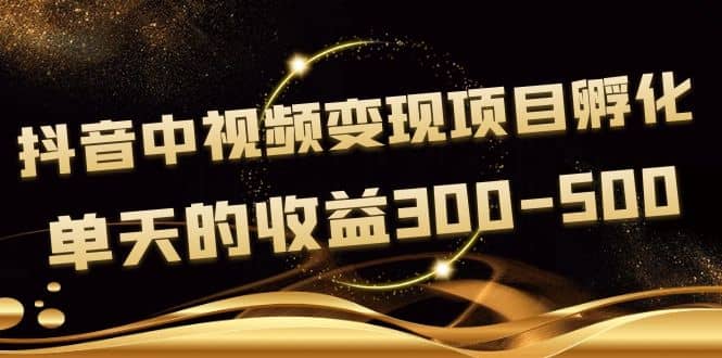 黄岛主《抖音中视频变现项目孵化》单天的收益300-500 操作简单粗暴-上品源码网