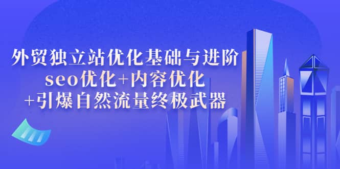 外贸独立站优化基础与进阶，seo优化 内容优化 引爆自然流量终极武器-上品源码网