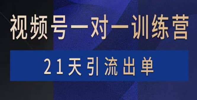 视频号训练营：带货，涨粉，直播，游戏，四大变现新方向，21天引流出单-上品源码网