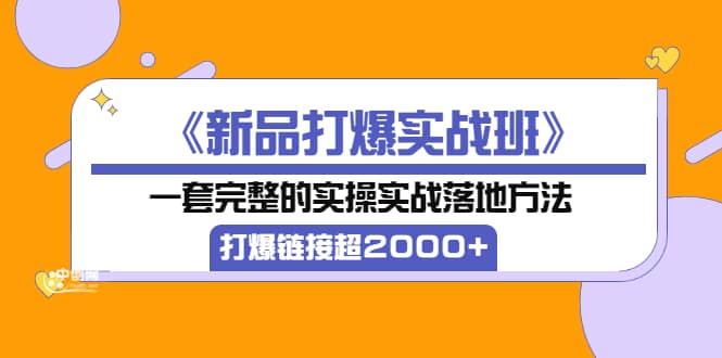 《新品打爆实战班》一套完整的实操实战落地方法，打爆链接超2000 （38节课)-上品源码网