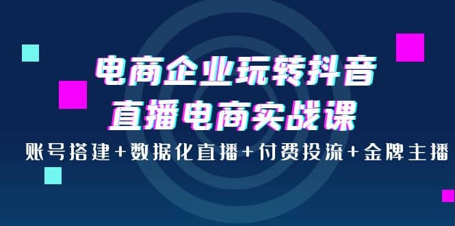 电商企业玩转抖音直播电商实战课：账号搭建 数据化直播 付费投流 金牌主播-上品源码网