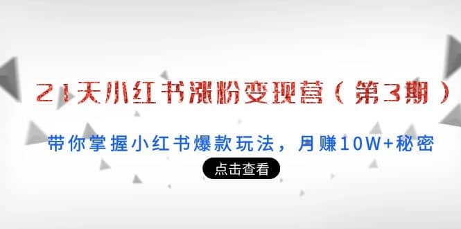 21天小红书涨粉变现营（第3期）：带你掌握小红书爆款玩法，月赚10W 秘密-上品源码网