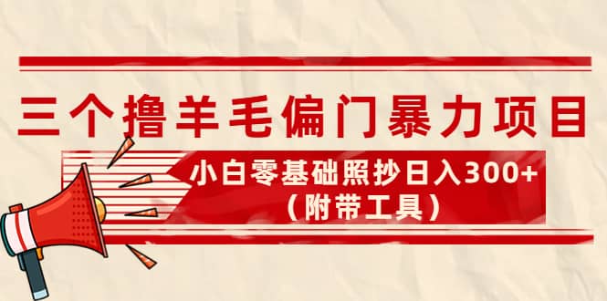 外面卖998的三个撸羊毛项目，小白零基础照抄（附带工具）-上品源码网