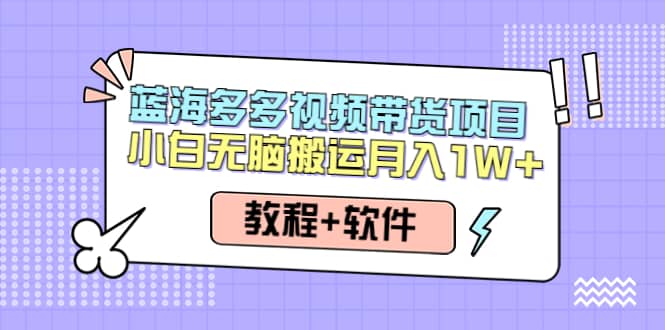 人人都能操作的蓝海多多视频带货项目 小白无脑搬运（教程 软件）-上品源码网