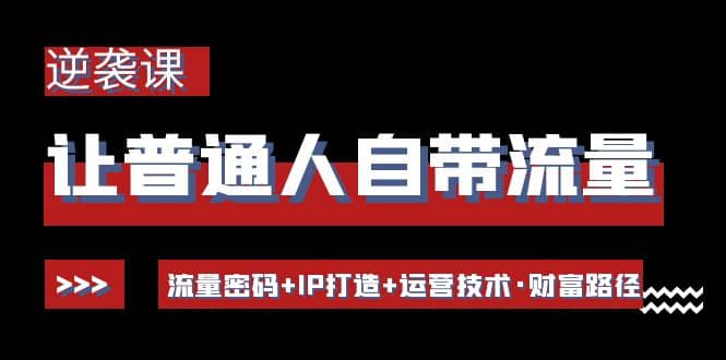 让普通人自带流量的逆袭课：流量密码 IP打造 运营技术·财富路径-上品源码网