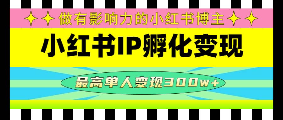 某收费培训-小红书IP孵化变现：做有影响力的小红书博主-上品源码网