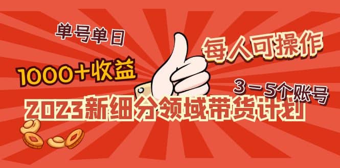 2023新细分领域带货计划：单号单日1000 收益不难，每人可操作3-5个账号-上品源码网