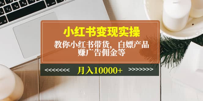 小红书变现实操：教你小红书带货，白嫖产品，赚广告佣金等-上品源码网