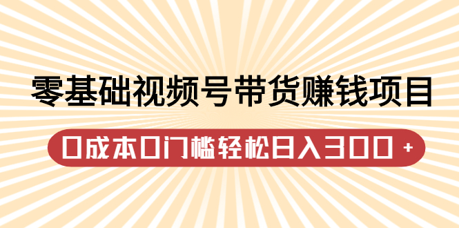 零基础视频号带货赚钱项目，0成本0门槛轻松日入300 【视频教程】-上品源码网