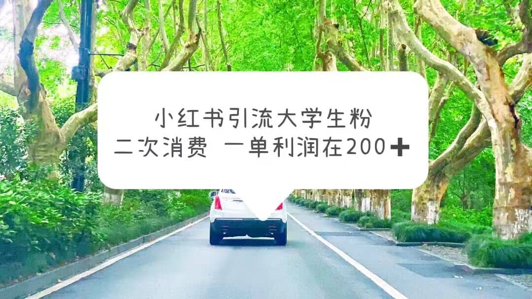 小红书引流大学生粉，变现项目，一单利润在200 （教程 资源）-上品源码网