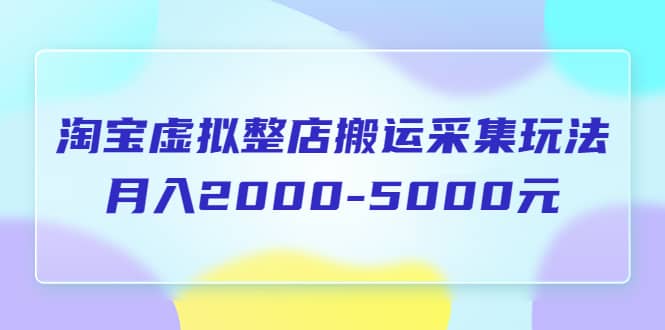 淘宝虚拟整店搬运采集玩法分享课：月入2000-5000元（5节课）-上品源码网