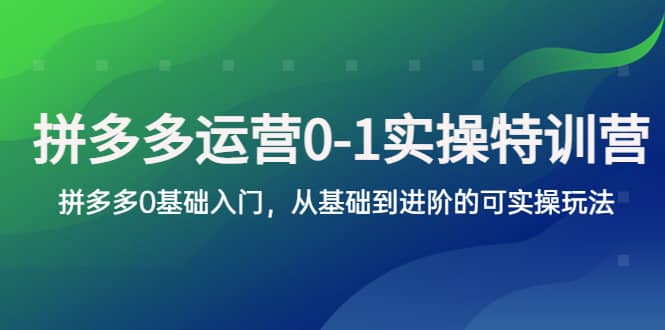 拼多多-运营0-1实操训练营，拼多多0基础入门，从基础到进阶的可实操玩法-上品源码网