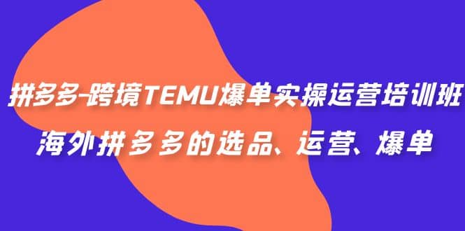 拼多多-跨境TEMU爆单实操运营培训班，海外拼多多的选品、运营、爆单-上品源码网