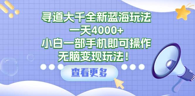 寻道大千全新蓝海玩法，一天4000+，小白一部手机即可操作，无脑变现玩法！-上品源码网