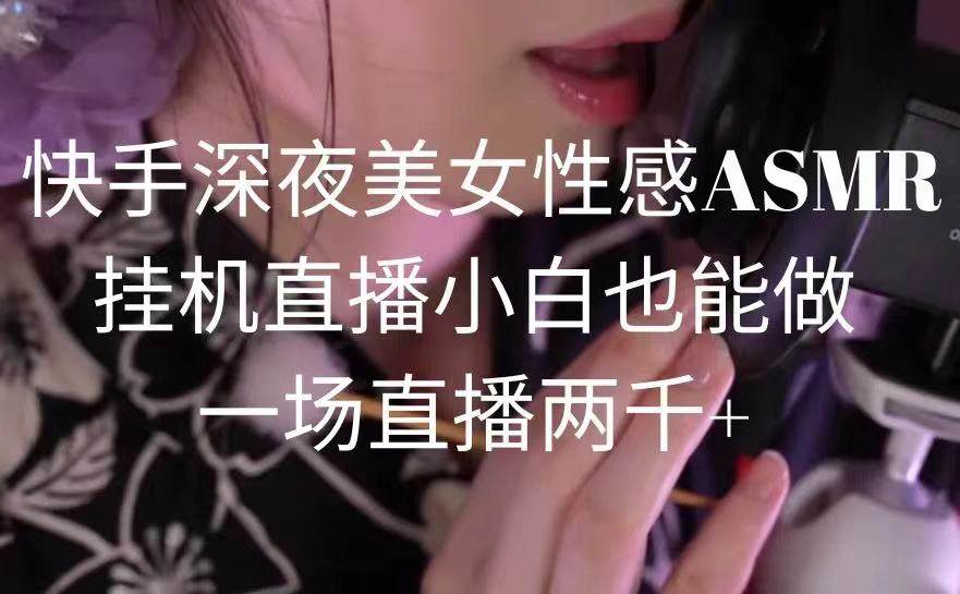 快手深夜美女性感ASMR挂机直播，小白也能做，一场直播两千+-上品源码网