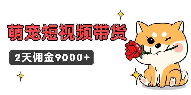 东哲日记·萌宠短视频带货，2天佣金9000+-上品源码网