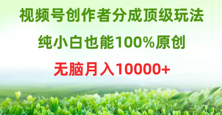 视频号创作者分成顶级玩法，纯小白也能100%原创，无脑月入10000+-上品源码网