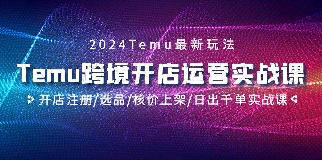 2024Temu跨境开店运营实战课，开店注册/选品/核价上架/日出千单实战课-上品源码网