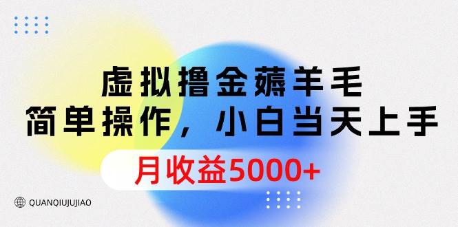 虚拟撸金薅羊毛，简单操作，小白当天上手，月收益5000+-上品源码网