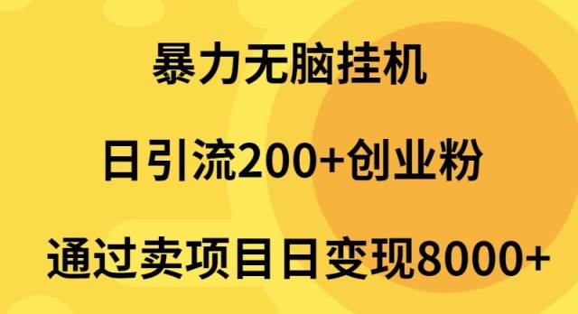 暴力无脑挂机日引流200+创业粉通过卖项目日变现2000+-上品源码网