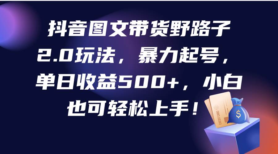 抖音图文带货野路子2.0玩法，暴力起号，单日收益500+，小白也可轻松上手！-上品源码网