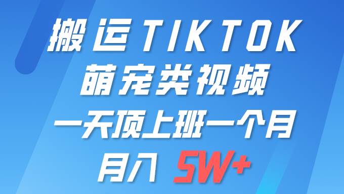 一键搬运TIKTOK萌宠类视频 一部手机即可操作 所有平台均可发布 轻松月入5W+-上品源码网