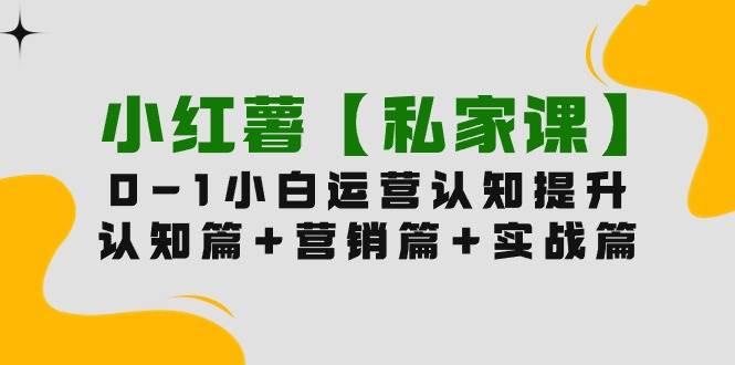 小红薯【私家课】0-1玩赚小红书内容营销，认知篇+营销篇+实战篇（11节课）-上品源码网