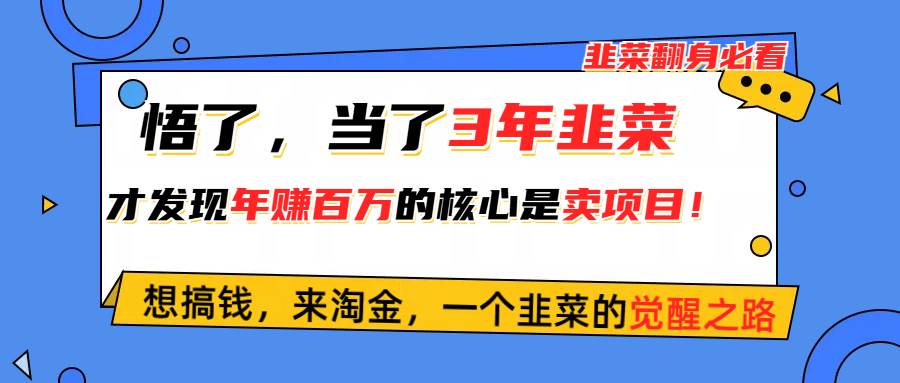 悟了，当了3年韭菜，才发现网赚圈年赚100万的核心是卖项目，含泪分享！-上品源码网