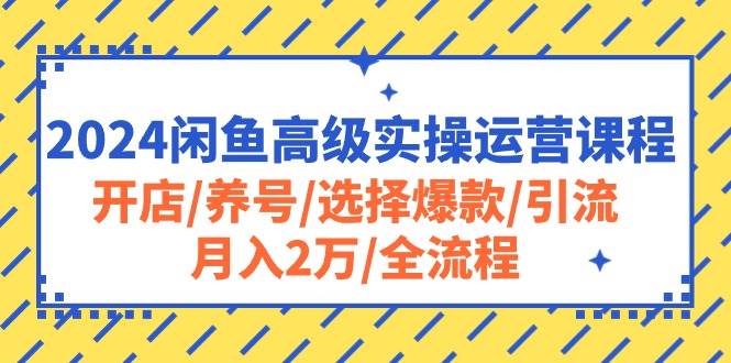 2024闲鱼高级实操运营课程：开店/养号/选择爆款/引流/月入2万/全流程-上品源码网