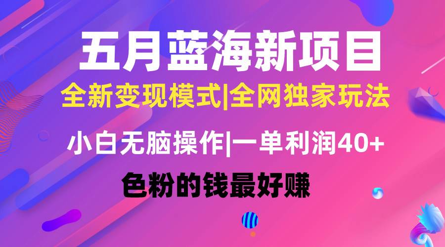 五月蓝海项目全新玩法，小白无脑操作，一天几分钟，矩阵操作，月入4万+-上品源码网