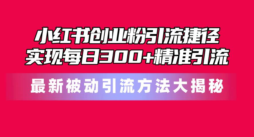 小红书创业粉引流捷径！最新被动引流方法大揭秘，实现每日300+精准引流-上品源码网